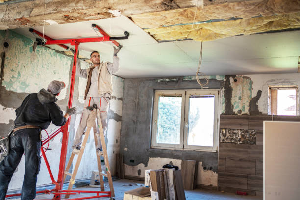 Best Spray Foam Insulation in Princevle, IL
